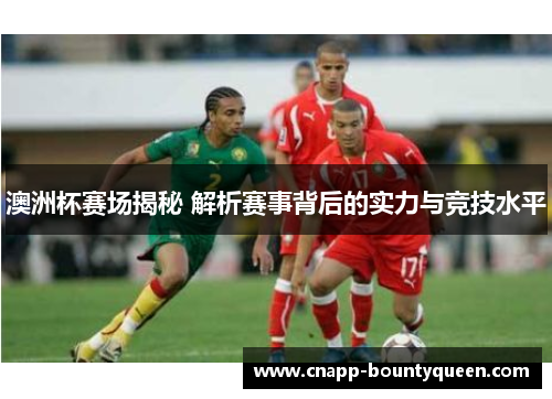 澳洲杯赛场揭秘 解析赛事背后的实力与竞技水平