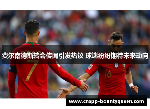 费尔南德斯转会传闻引发热议 球迷纷纷期待未来动向