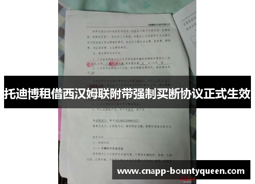 托迪博租借西汉姆联附带强制买断协议正式生效