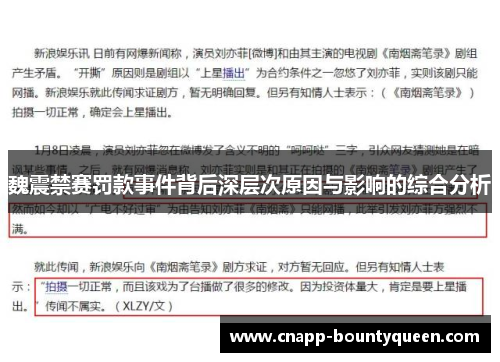 魏震禁赛罚款事件背后深层次原因与影响的综合分析